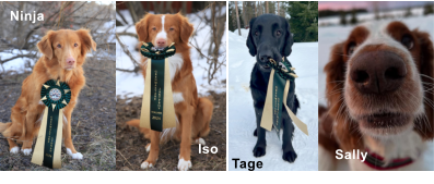 Tage  Sally  Iso Ninja