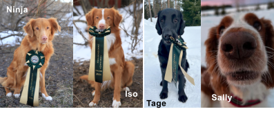 Tage  Sally  Iso Ninja